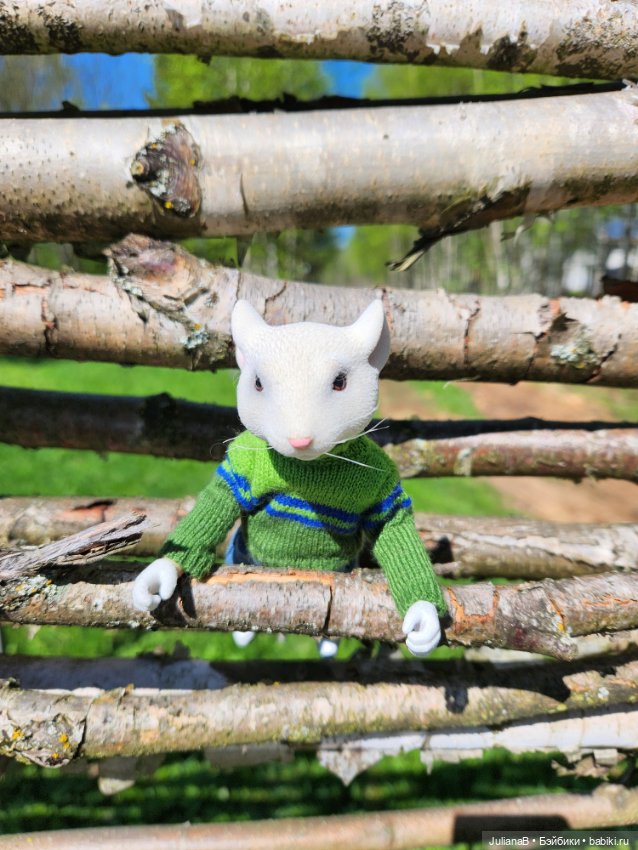 Два дня из жизни мыши — Разные шарнирные куклы (не БЖД): редкие (фото 5)