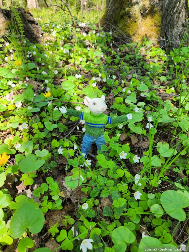 Два дня из жизни мыши — Разные шарнирные куклы (не БЖД): редкие (фото 8)