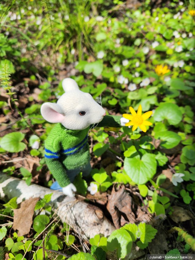 Два дня из жизни мыши — Разные шарнирные куклы (не БЖД): редкие (фото 7)