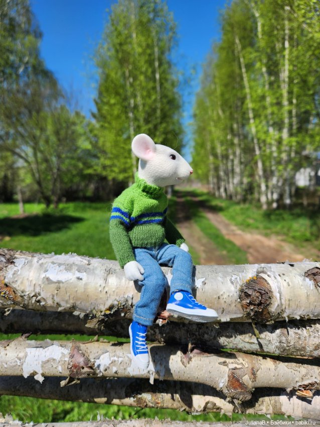 Два дня из жизни мыши — Разные шарнирные куклы (не БЖД): редкие (фото 6)