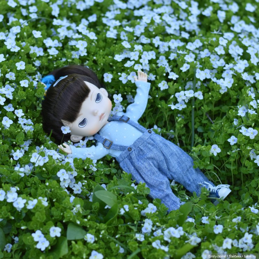 Цветы и солнце — Домашние коллекции кукол: фото собраний (фото 4)