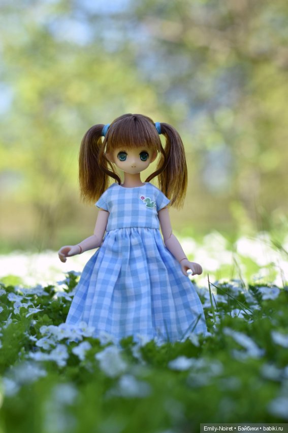 Цветы и солнце — Домашние коллекции кукол: фото собраний