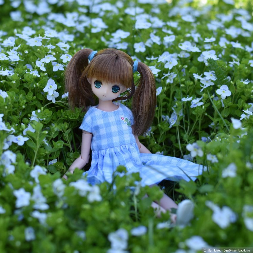 Цветы и солнце — Домашние коллекции кукол: фото собраний (фото 3)