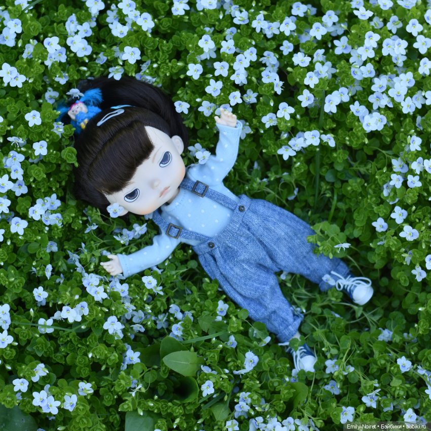Цветы и солнце — Домашние коллекции кукол: фото собраний (фото 5)
