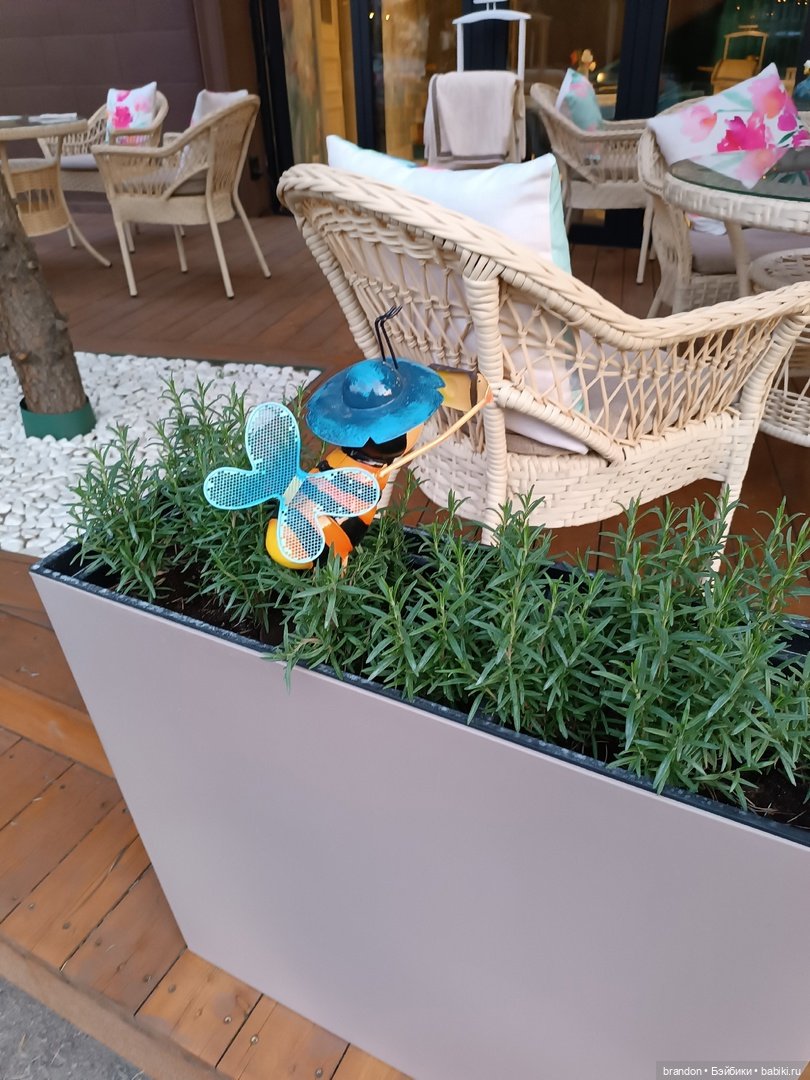 Фотограф — Аналоги Барби и куклы 1/6: клоны 90 (фото 5)