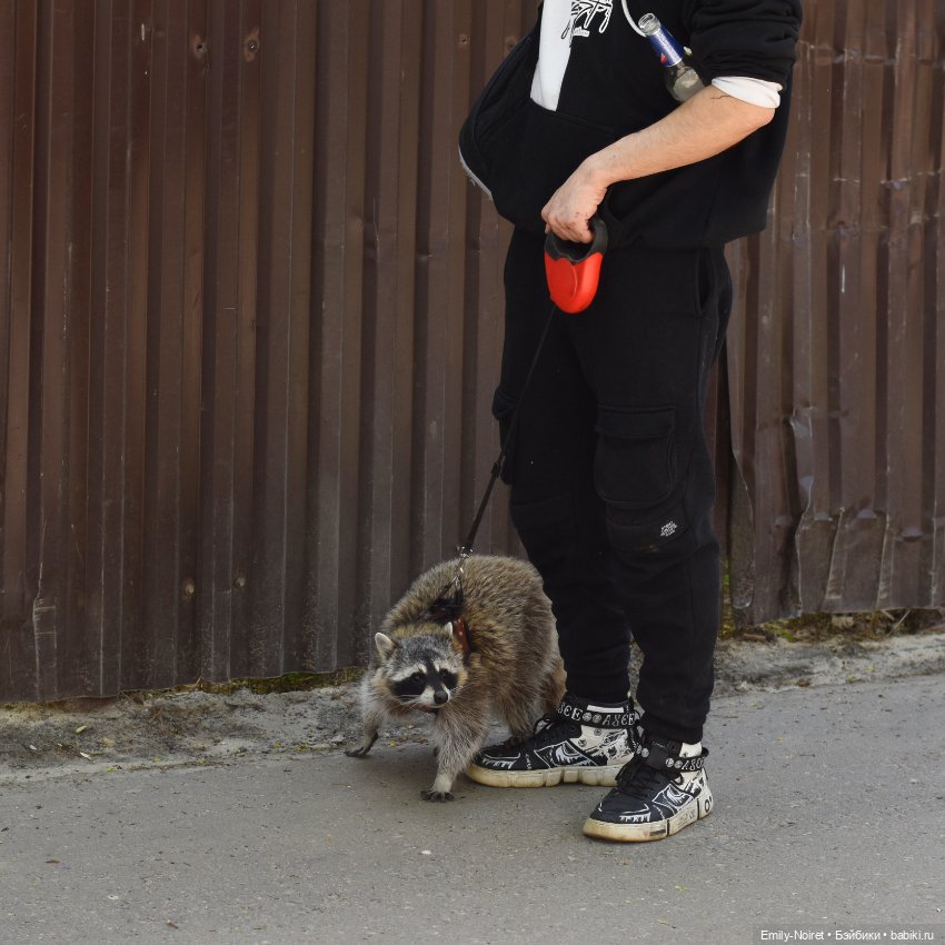 Весенняя прогулка — Коллекции игровых кукол (Playline): фото полок