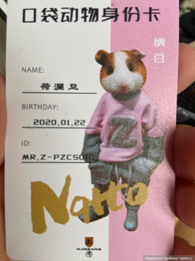 Наши посылочки — Авторские мишки Тедди и друзья: фото (фото 9)