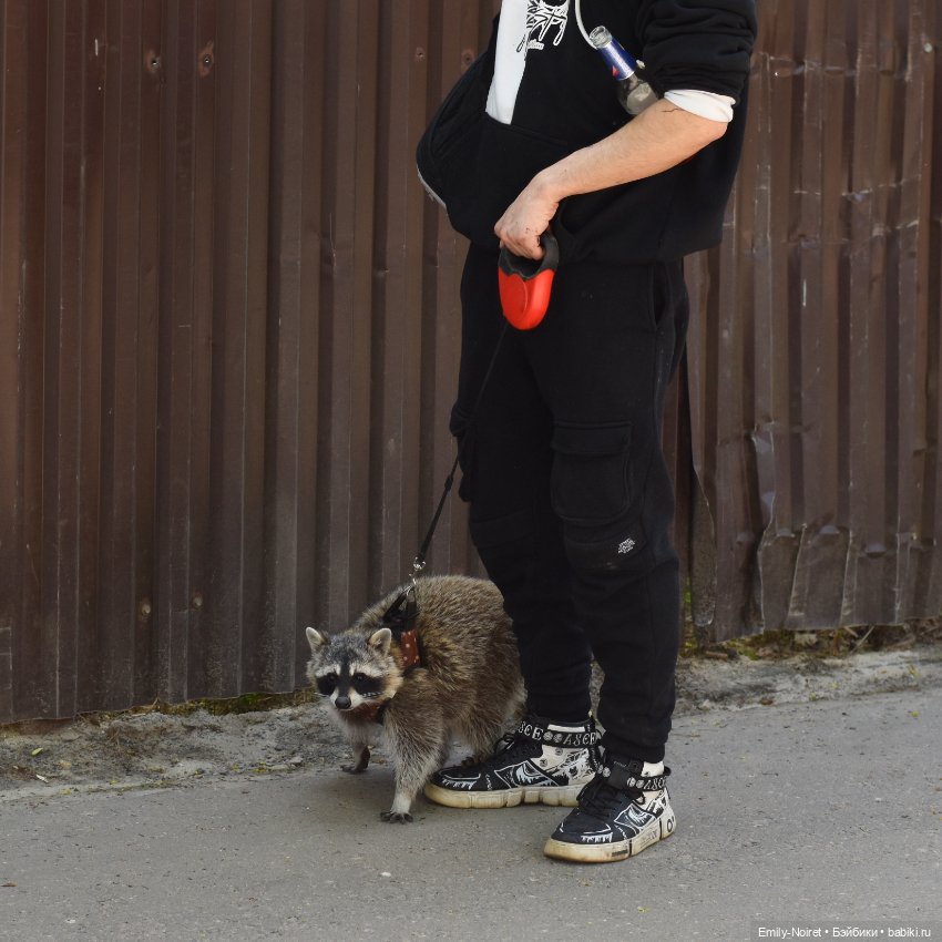 Весенняя прогулка — Коллекции игровых кукол (Playline): фото полок