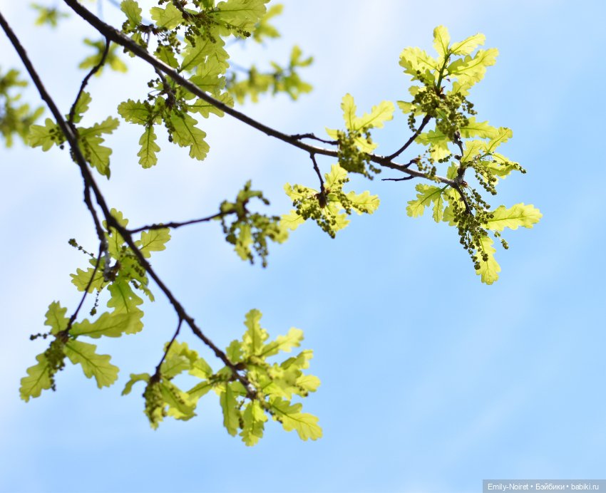 Весенняя прогулка — Коллекции игровых кукол (Playline): фото полок