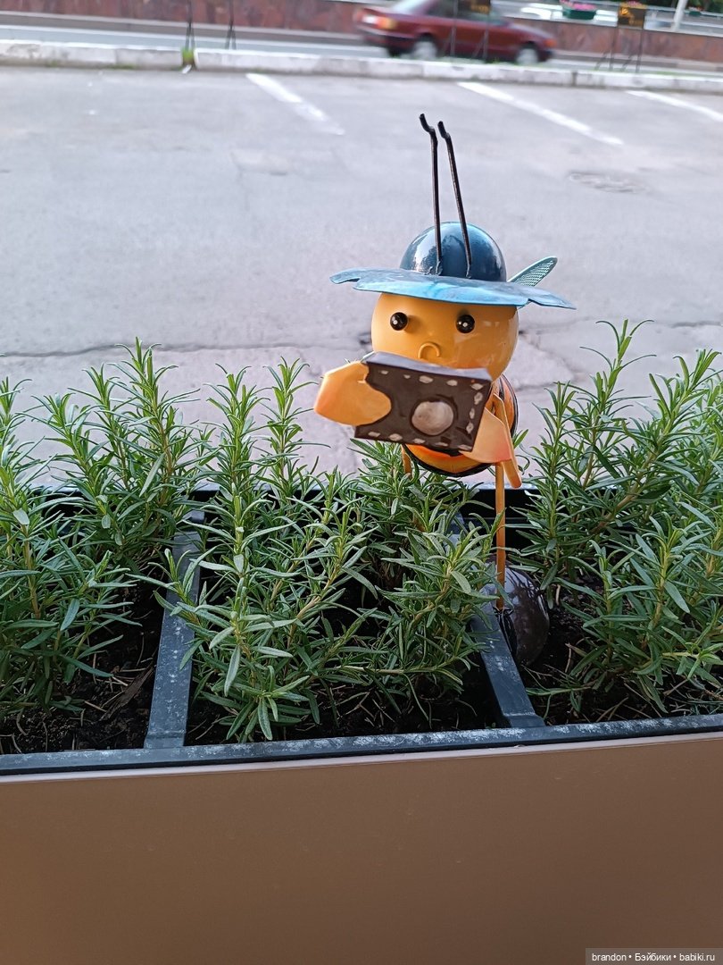 Фотограф — Аналоги Барби и куклы 1/6: клоны 90 (фото 4)