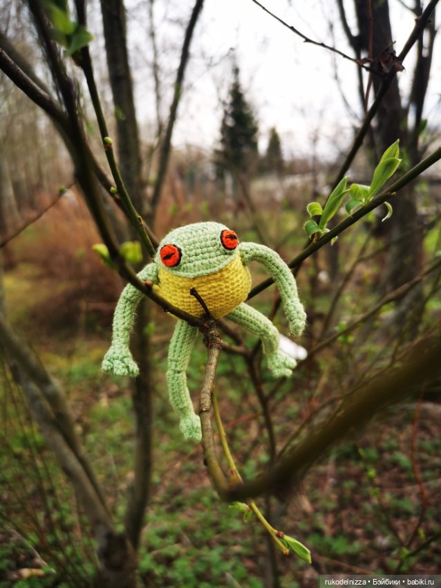 Весенний лягух, Фёдор Хьюгович Фрогг (фото 10)