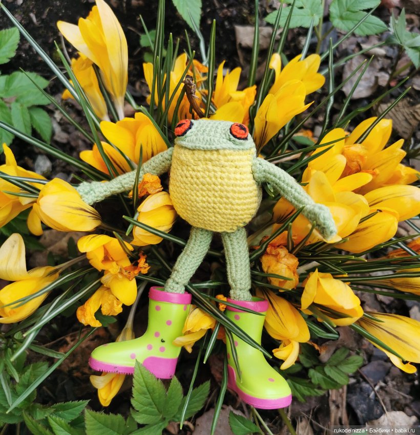 Весенний лягух, Фёдор Хьюгович Фрогг