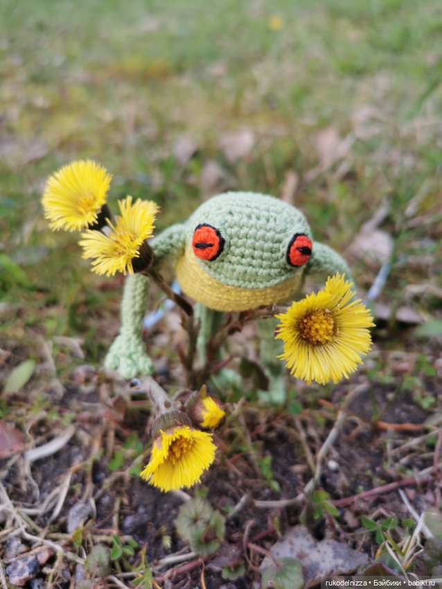 Весенний лягух, Фёдор Хьюгович Фрогг (фото 2)