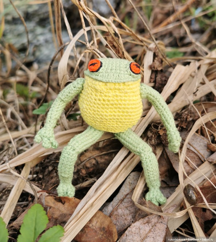 Весенний лягух, Фёдор Хьюгович Фрогг (фото 3)