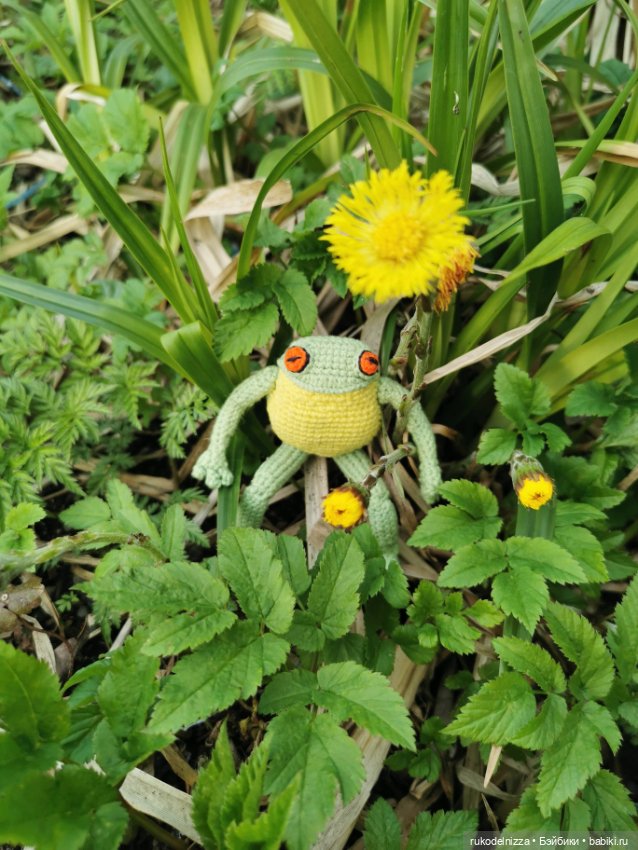 Весенний лягух, Фёдор Хьюгович Фрогг (фото 4)