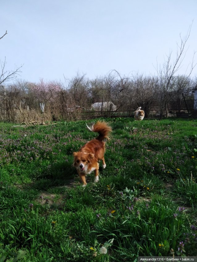 Пастушок🧺 — Советские винтажные куклы (СССР): Ленигрушка
