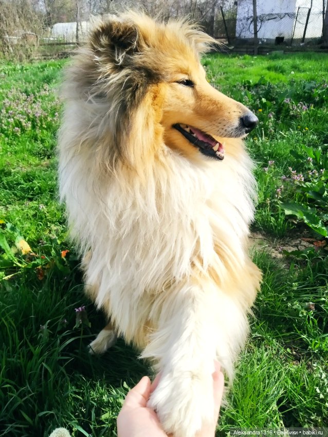 Пастушок🧺 — Советские винтажные куклы (СССР): Ленигрушка