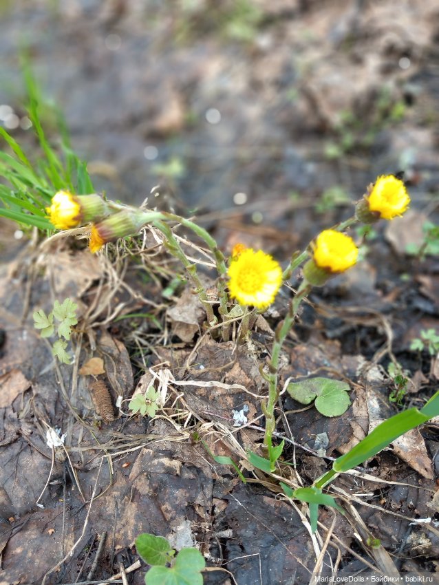 Есть ли дорога "в обратно?"