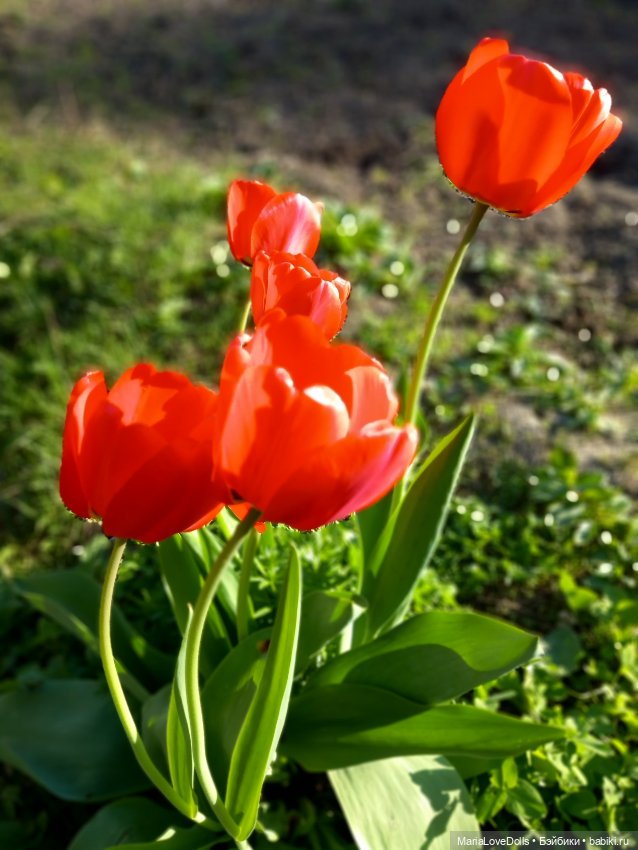 Есть ли дорога "в обратно?"