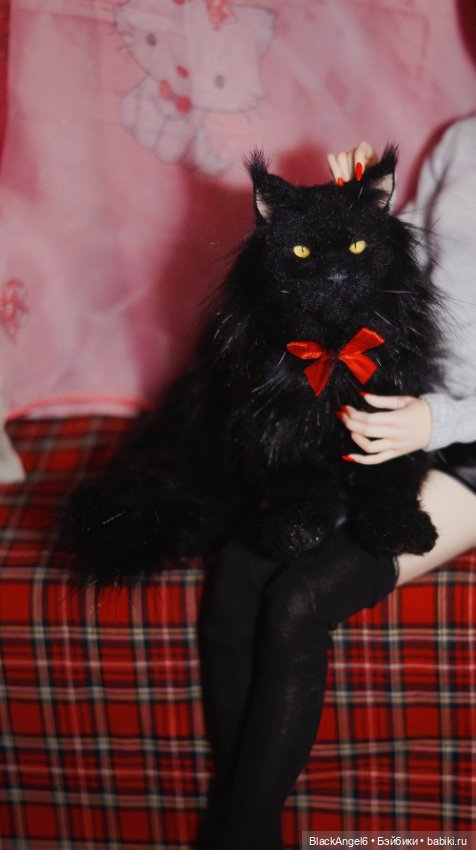 Без кота жизнь не та — Фотоистории с куклами BJD (БЖД): сериалы (фото 5)