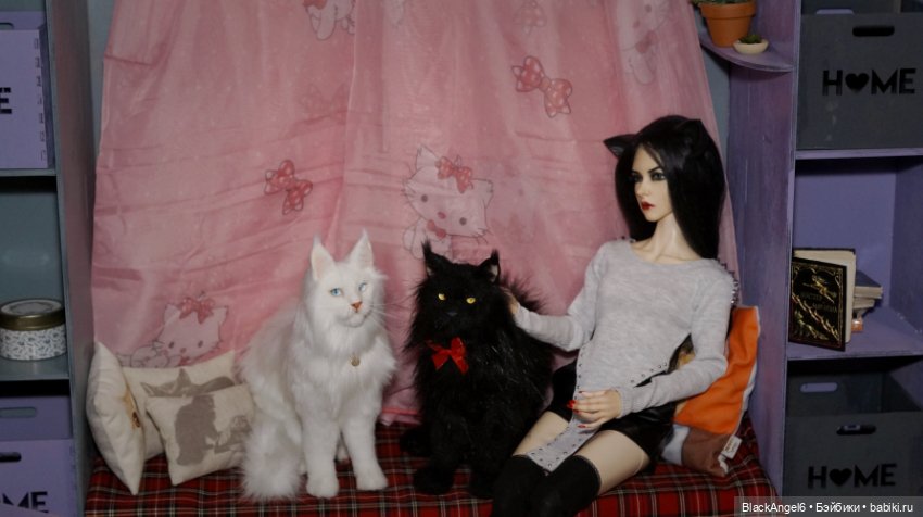 Без кота жизнь не та — Фотоистории с куклами BJD (БЖД): сериалы (фото 4)