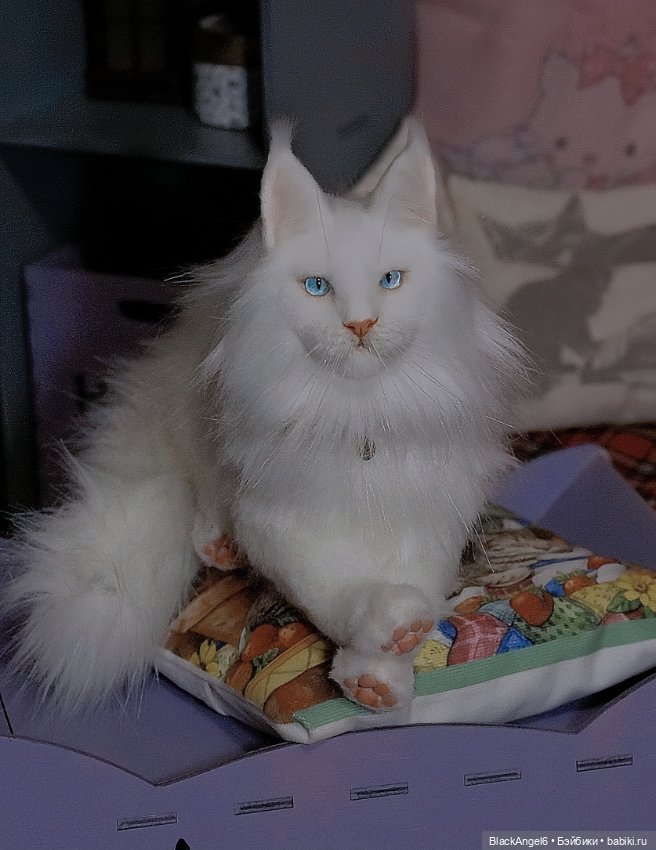 Без кота жизнь не та — Фотоистории с куклами BJD (БЖД): сериалы (фото 2)