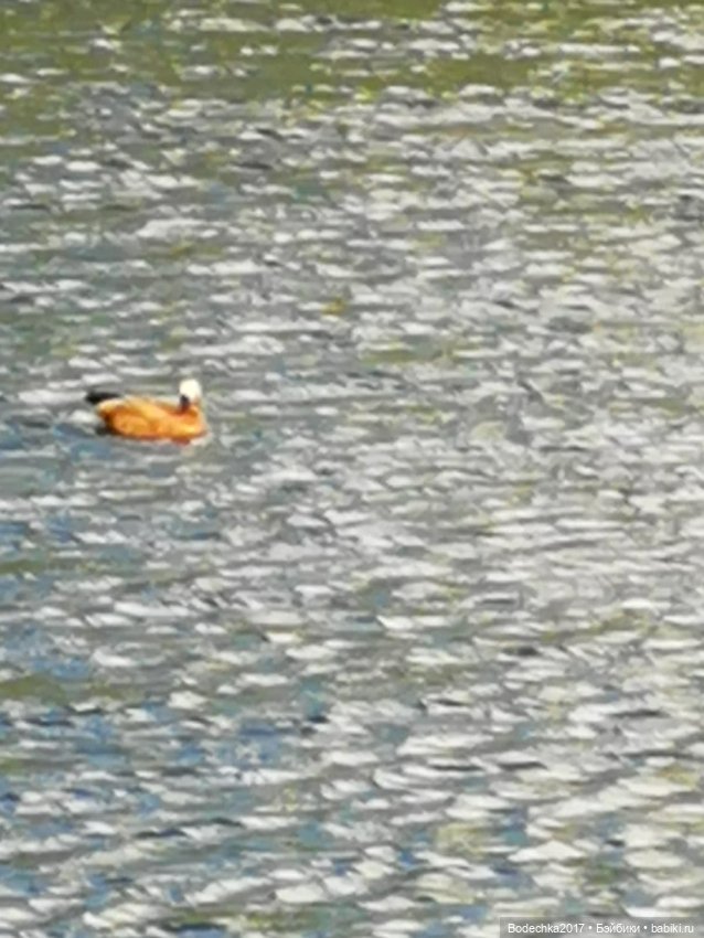 Первомайская прогулка — Винтажные куклы ГДР (Немки): Бигги