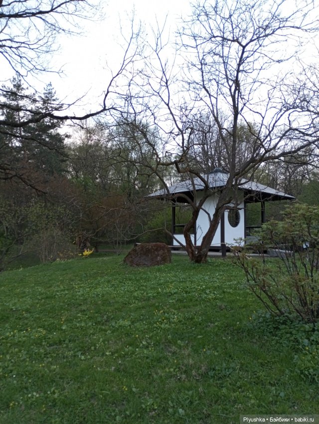 Вечер в Японском саду или неудавшееся Ханами