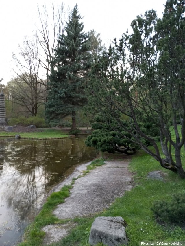 Вечер в Японском саду или неудавшееся Ханами