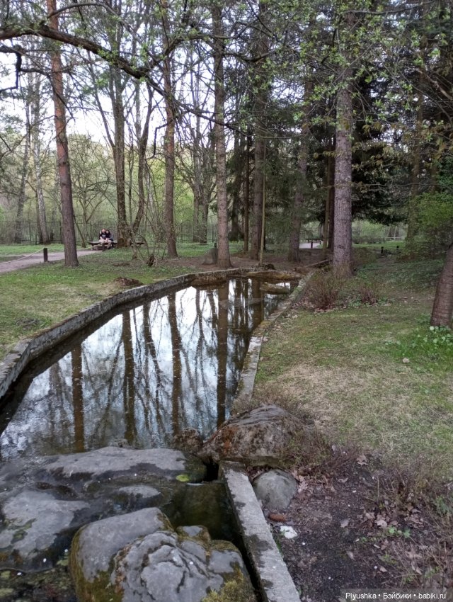 Вечер в Японском саду или неудавшееся Ханами (фото 4)