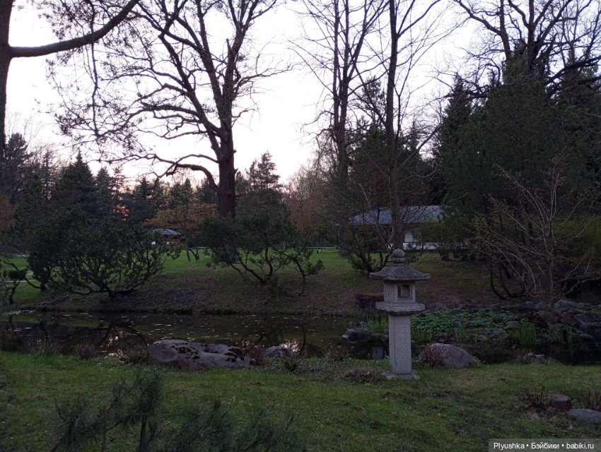 Вечер в Японском саду или неудавшееся Ханами