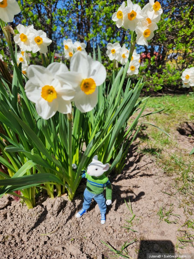 Про компьютерного хомяка — Разные шарнирные куклы (не БЖД): редкие (фото 4)