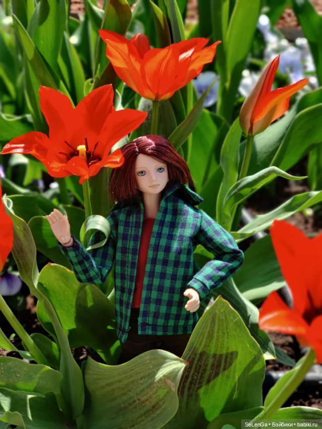 Арсений Ежевика — Куклы Momoko и Ruruko (Petworks (фото 4)