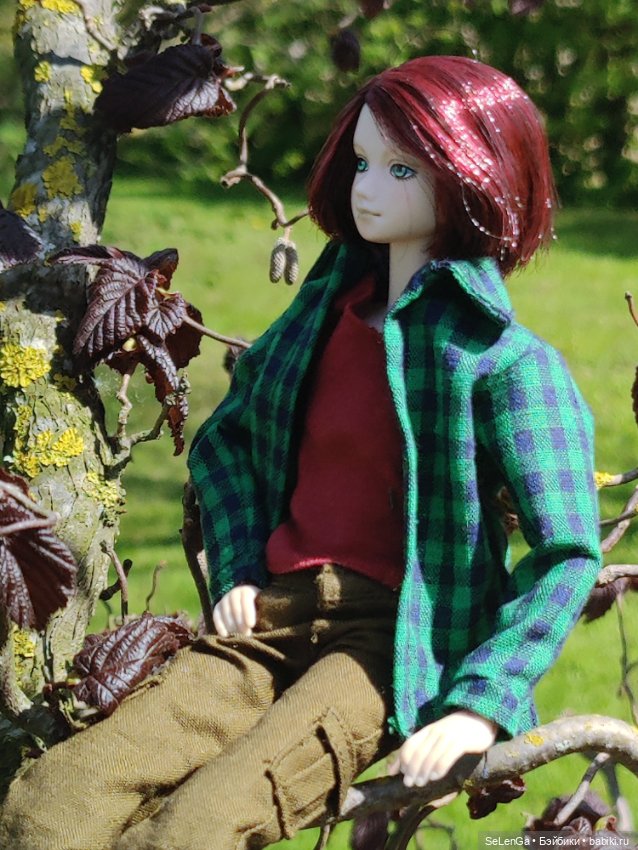 Арсений Ежевика — Куклы Momoko и Ruruko (Petworks (фото 6)