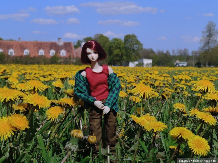 Арсений Ежевика — Куклы Momoko и Ruruko (Petworks (фото 7)