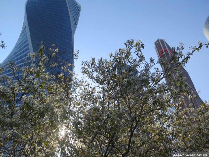 Москва-Сити 30 апреля 2024