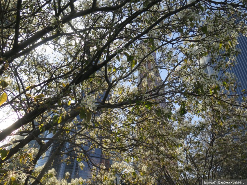 Москва-Сити 30 апреля 2024