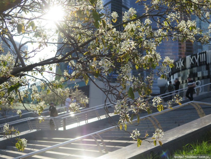 Москва-Сити 30 апреля 2024