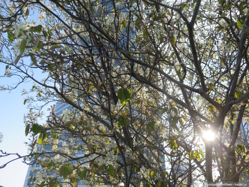 Москва-Сити 30 апреля 2024