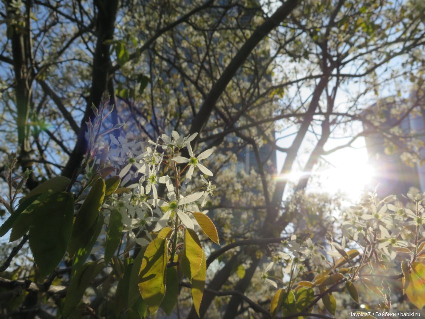 Москва-Сити 30 апреля 2024