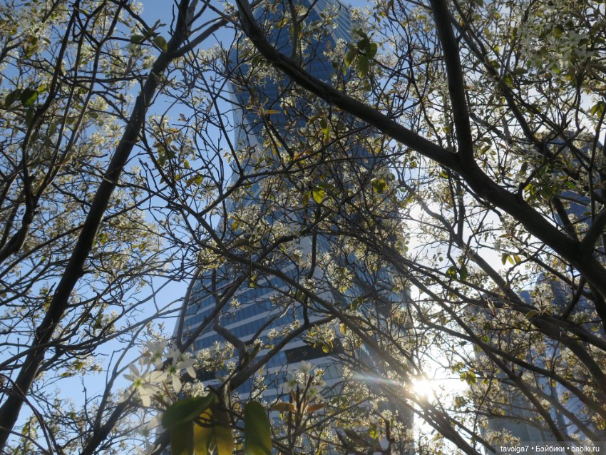 Москва-Сити 30 апреля 2024