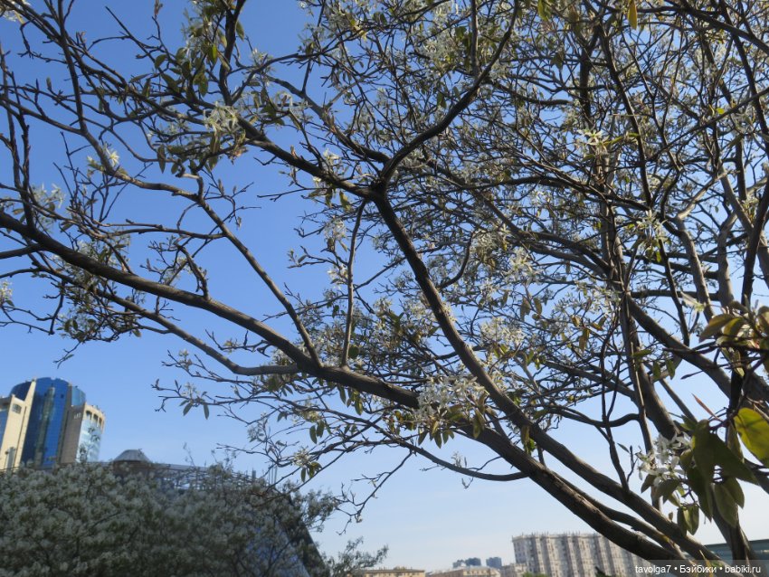 Москва-Сити 30 апреля 2024