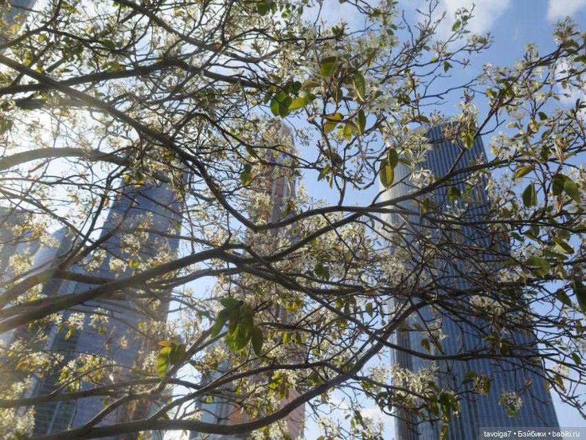 Москва-Сити 30 апреля 2024