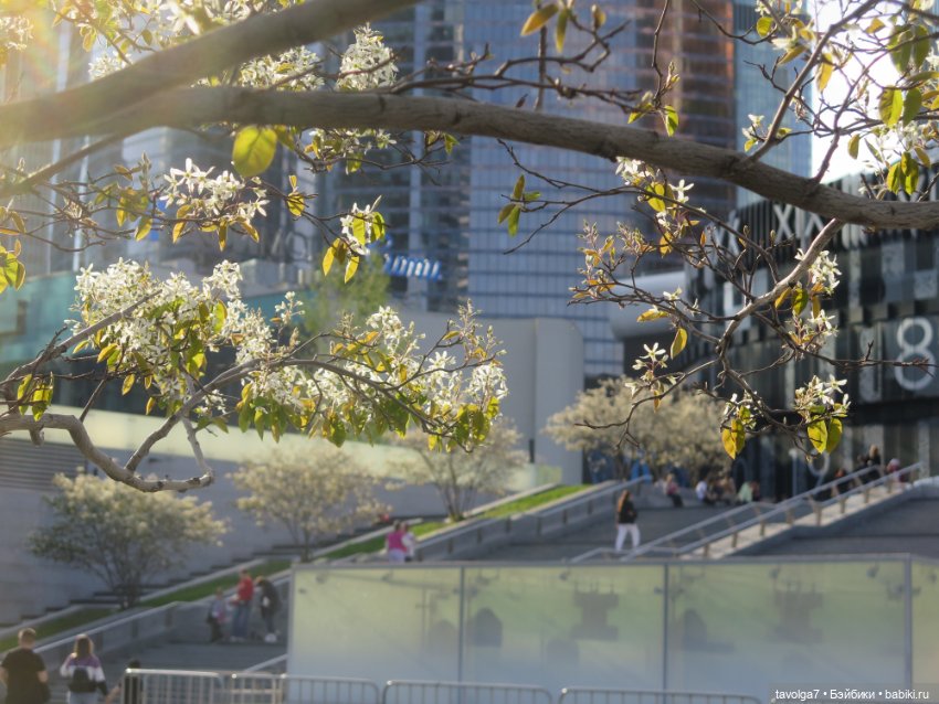 Москва-Сити 30 апреля 2024