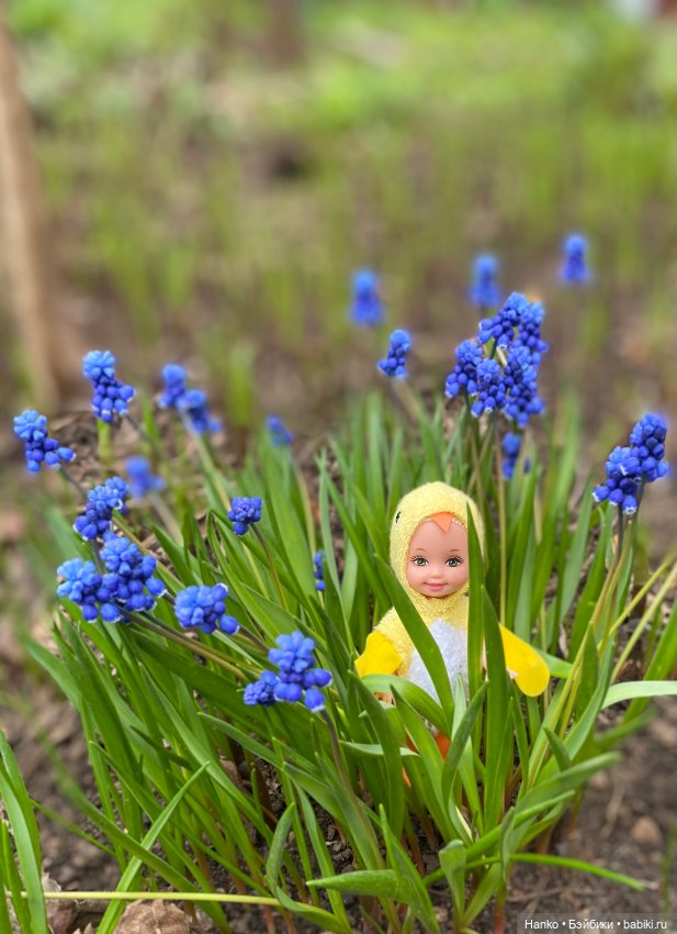 Келли цыплёнок — Куклы Kelly (Келли): Сестра Барби (фото 4)