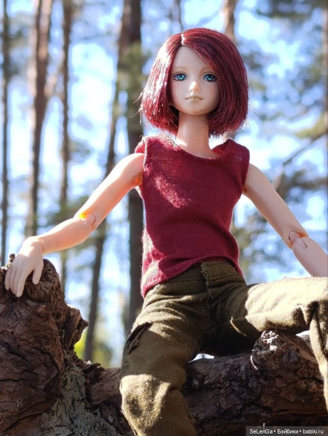 Арсений Ежевика — Куклы Momoko и Ruruko (Petworks