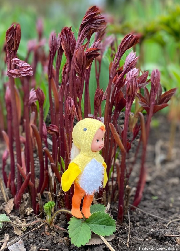 Келли цыплёнок — Куклы Kelly (Келли): Сестра Барби (фото 6)