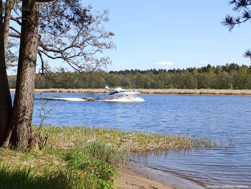 Арсений Ежевика — Куклы Momoko и Ruruko (Petworks