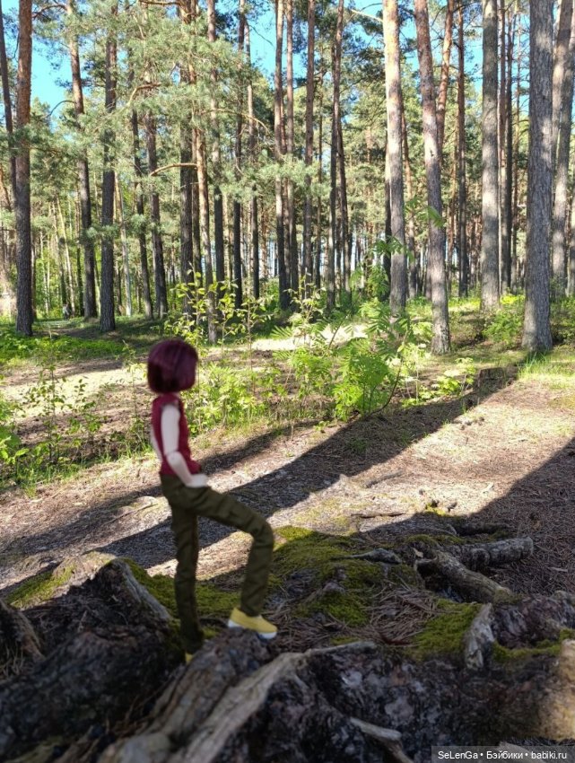 Арсений Ежевика — Куклы Momoko и Ruruko (Petworks