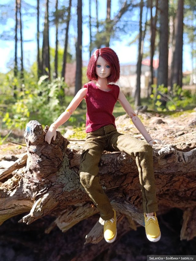 Арсений Ежевика — Куклы Momoko и Ruruko (Petworks